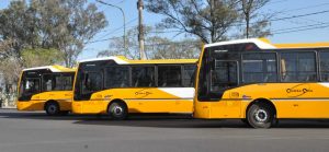 presentacion-de-nuevas-unidades-de-colestivo3-1024x475