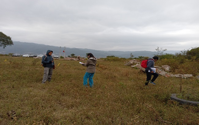 peritajes-alto-padilla-trabajo-campo-01