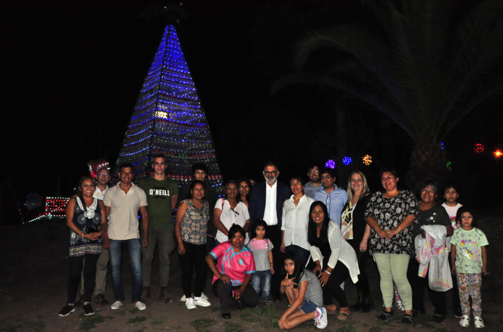 arbol2-1024x677