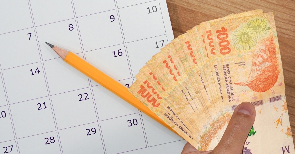 calendario_de_pagos_anses_2023.jpg_1595070056