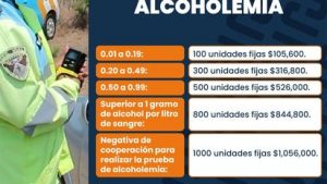 whatsapp-image-2024-07-01-at-124302jpeg