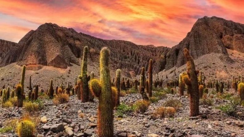 la-argentina-tiene-una-gran-cantidad-destinos-turisticos-visitar