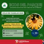 Nueva edición de “Ecos del Parque”: abejas, plantas y polinización en vivo