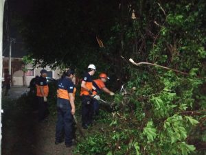 FB_IMG_1760710283523