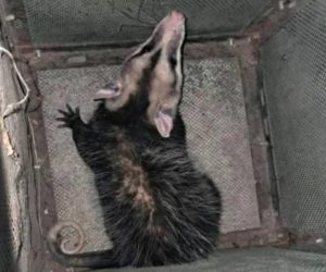 FB_IMG_1761828584735