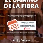 Presentan en Jujuy “El Camino de la Fibra” con hilo 100% de llama jujeña