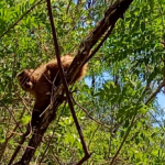 Jujuy avanza en la construcción de su Estrategia Provincial de Biodiversidad