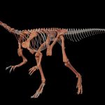 Hallan en La Rioja una nueva especie de dinosaurio, una de las más antiguas del mundo