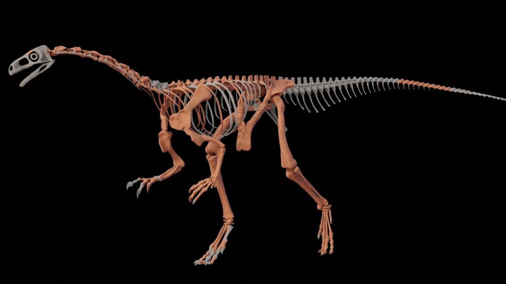 dino la rioja