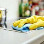 domestica
