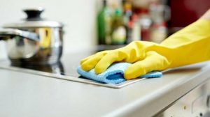 domestica
