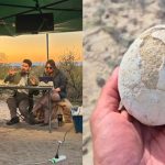 Un científico del CONICET descubrió un huevo de dinosaurio en el sur de Río Negro