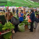 Sabores, colores y raíces jujeñas: más de 150 productores se reúnen en la Feria Campesina Pucará