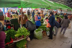 050625-galeria-fotos-feria-campesina-15jpg