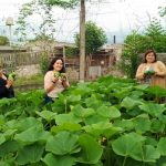 Producción solidaria en el CIC “Che Guevara” de Alto Comedero