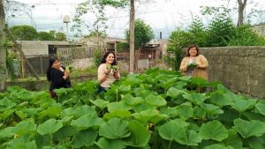 FB_IMG_1762608186270