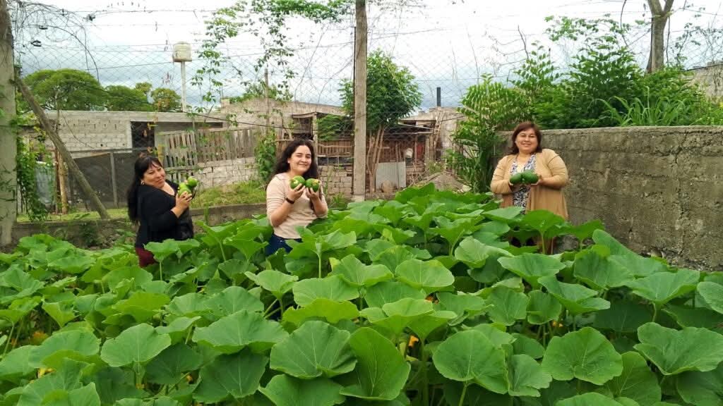 FB_IMG_1762608186270