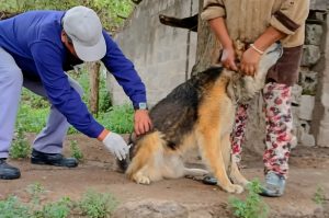 FB_IMG_1763383633668