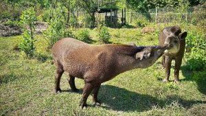 FB_IMG_1763474710655