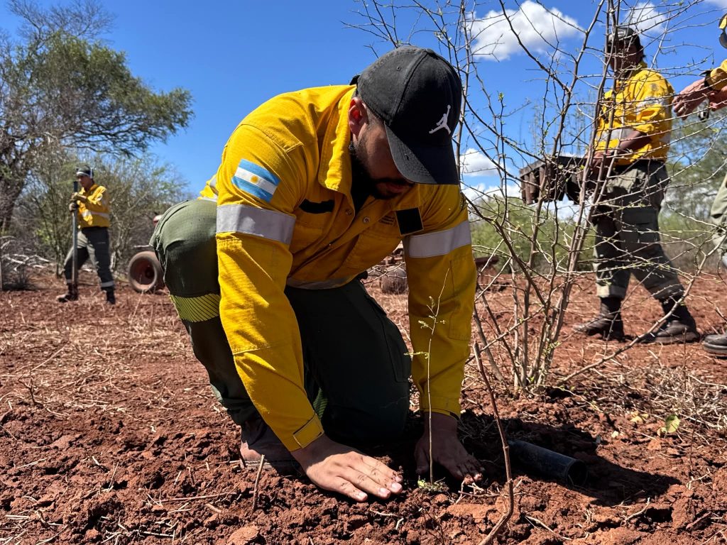 FB_IMG_1763906985821