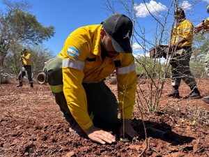 FB_IMG_1763906985821