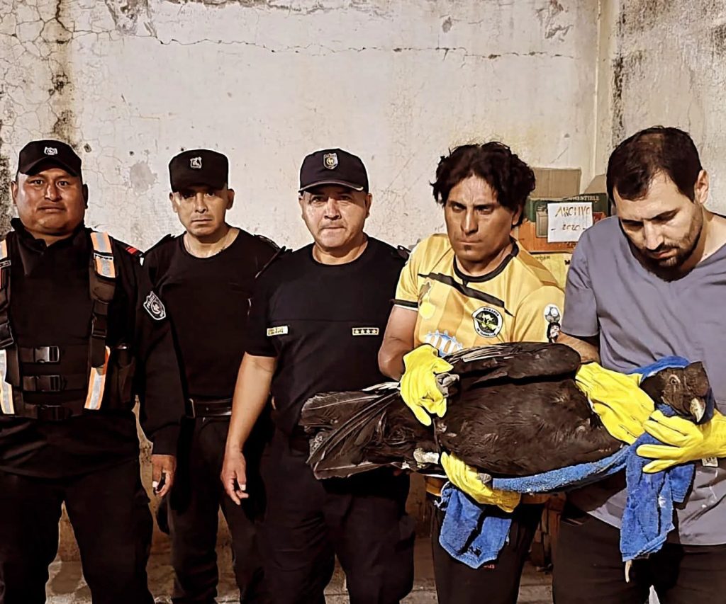 FB_IMG_1764335328928