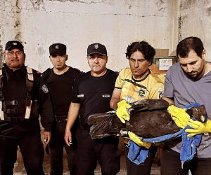 FB_IMG_1764335328928