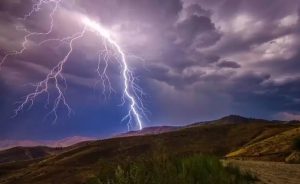 67bf9ffa81806__993x610