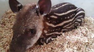 whatsapp-image-2025-12-03-at-125128