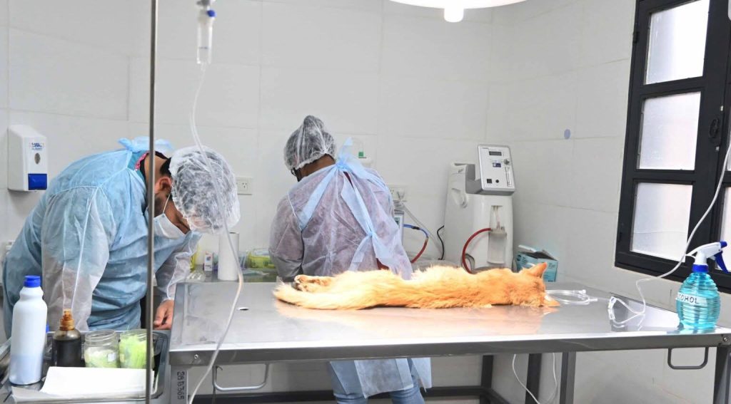 FB_IMG_1767614815200