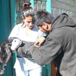 Continúan los operativos de vacunación y castración, esta vez en Guerrero y 30 hectáreas   