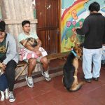 Zoonosis dio a conocer el cronograma semanal de atención