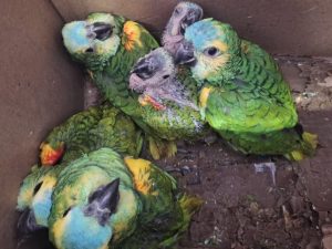 FB_IMG_1769003612319