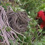 Bomberos de Jujuy rescataron a dos personas que desbarrancaron en Reyes