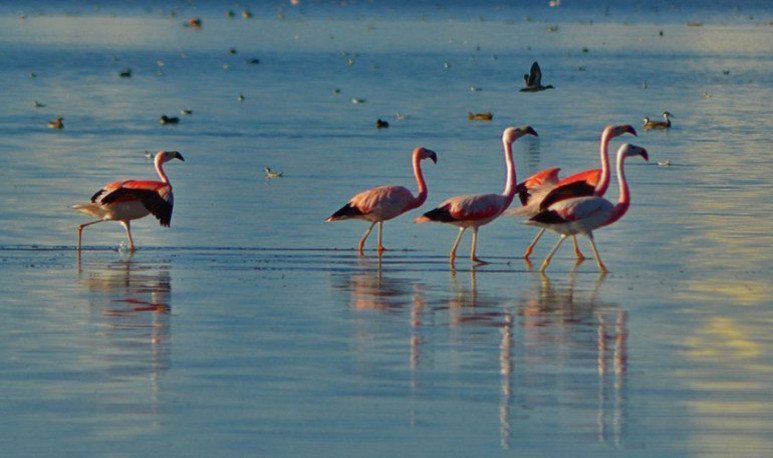 laguna de pozuelos 2-1594906544