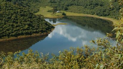 whatsapp-image-2026-01-15-at-082818