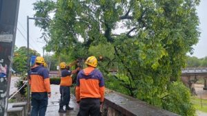 whatsapp-image-2026-01-19-at-112045