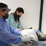 La Municipalidad realizará jornadas de vacunación y quirófano móvil