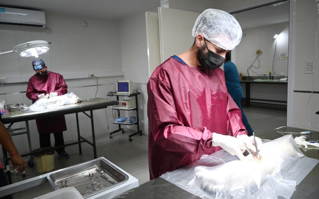 castracion-masiva-zoonosis-Prensa-muni-Jujuy-4-1024x639