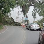 ​Alto La Viña: Una persona resultó herida por el desprendimiento de una rama