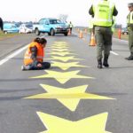 Diputados debate endurecer penas por homicidios viales