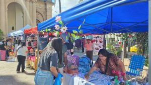 whatsapp-image-2026-03-15-at-115514-am