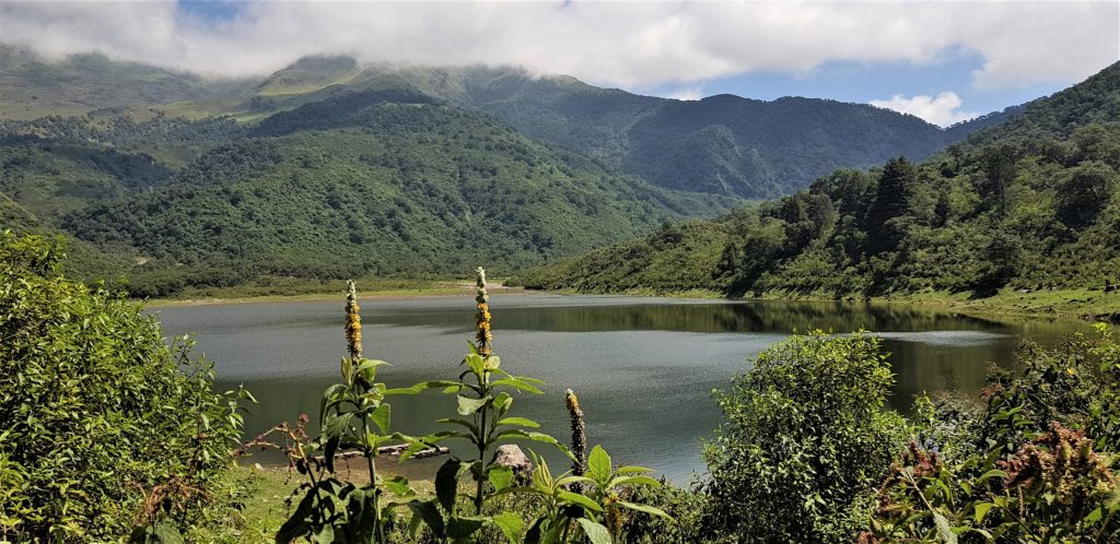 20180316_122716-scaled