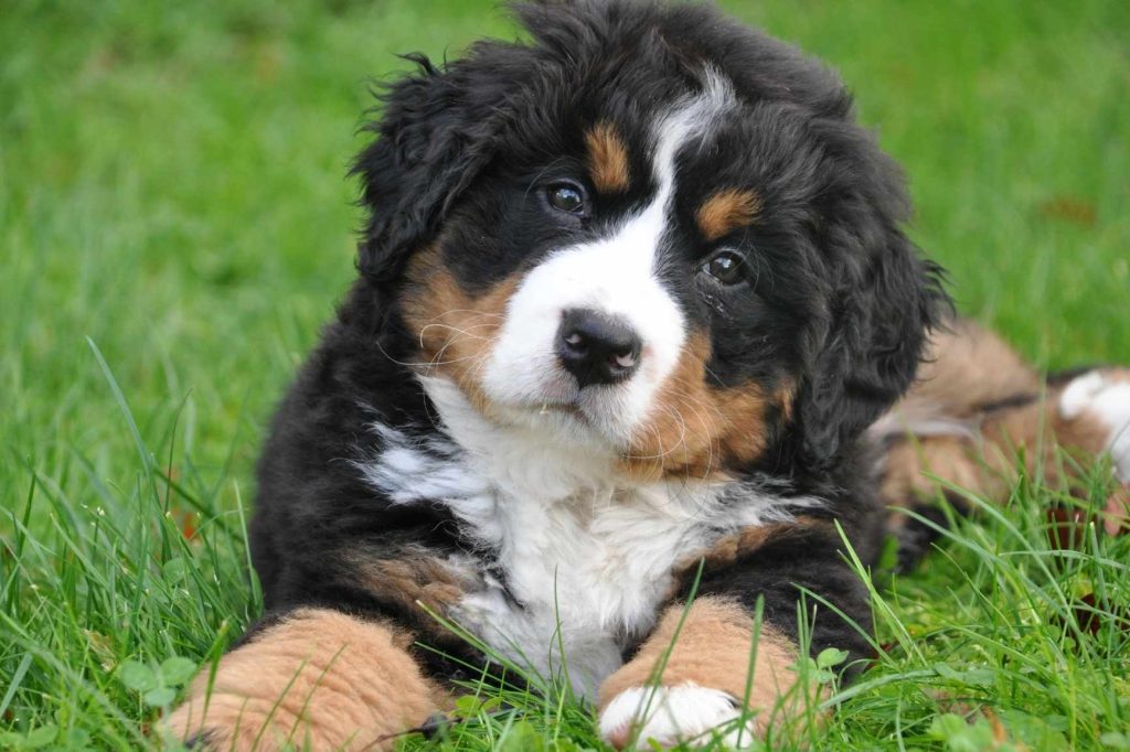 Plantilla-Blog-1733-x-1155-px-13