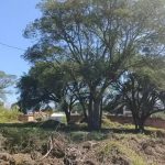 Subasta pública electrónica de lotes ubicados en Alto Padilla