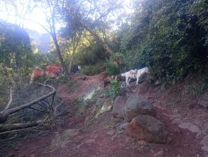 IMG-20260708-WA0046