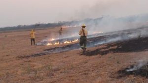 incendios-forestales-jujuy-la-responsabilidad-ciudadana-como-clave-prevenirlos