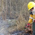 Lograron sofocar y contener incendios de vegetación que amenazaron a zonas pobladas en Jujuy