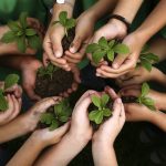 Jujuy convoca a docentes a presentar proyectos de Educación Ambiental y hacerlos visible