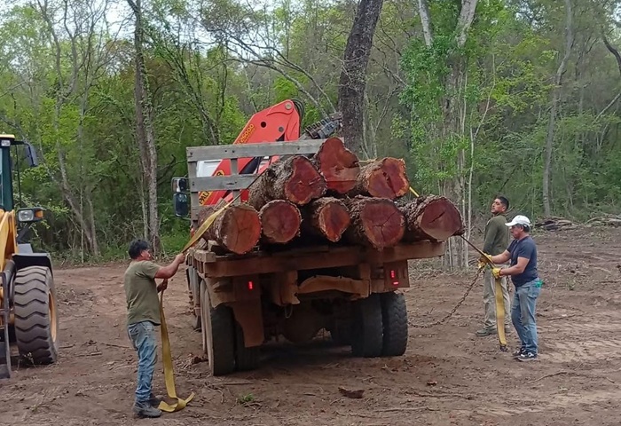 control-forestal-decomiso-san-pedro
